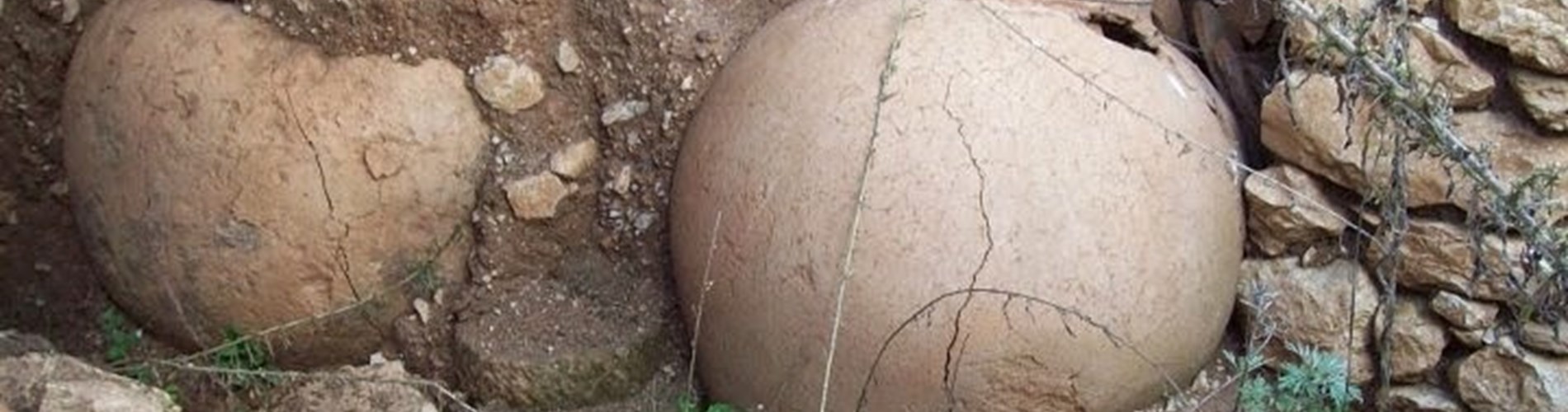 Area Archeologica Apollonia Area Archeologica Apollonia