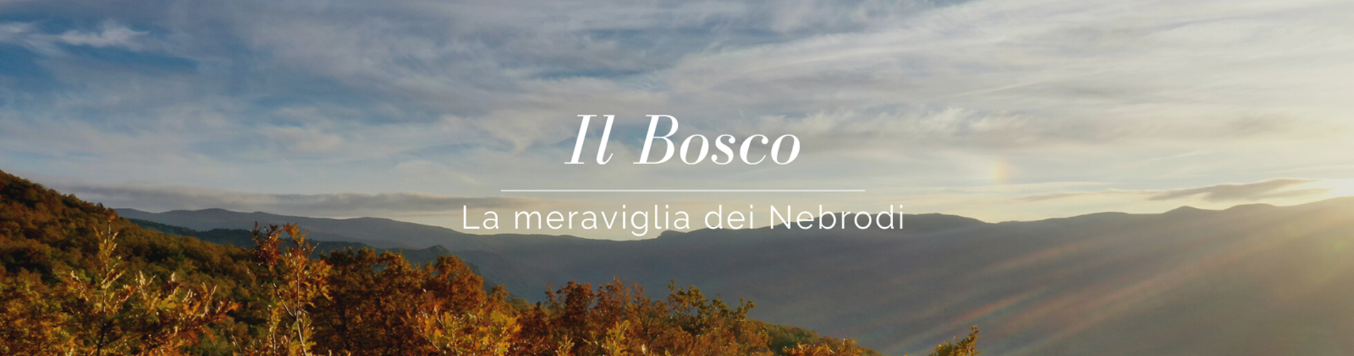 Il Bosco di San Fratello Il Bosco di San Fratello